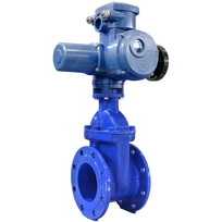 Задвижка запорная Гранар KR12 DN300, Ру16